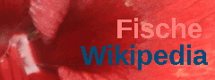 Logo Fische Wikipedia